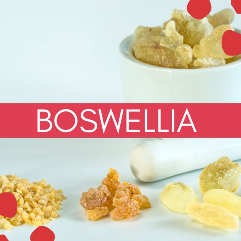 boswellia serrata bosvelija boswelia zglobović bosvelicna kiselina