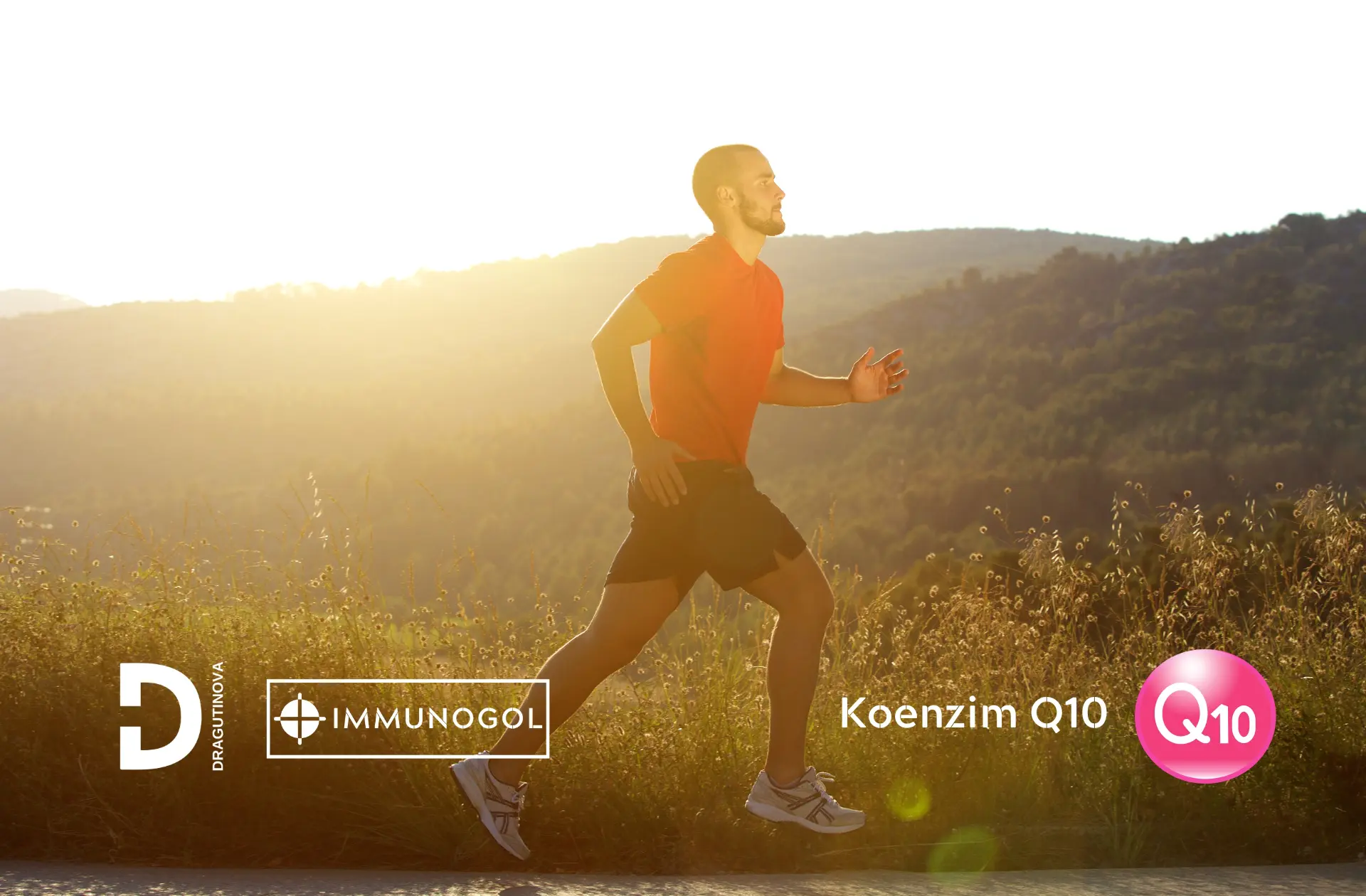 koenzim q10 cena iskustva antioksidans za srce kondiciju imunitet - Dragutinova koenzim q10 cena iskustva antioksidans za srce kondiciju imunitet