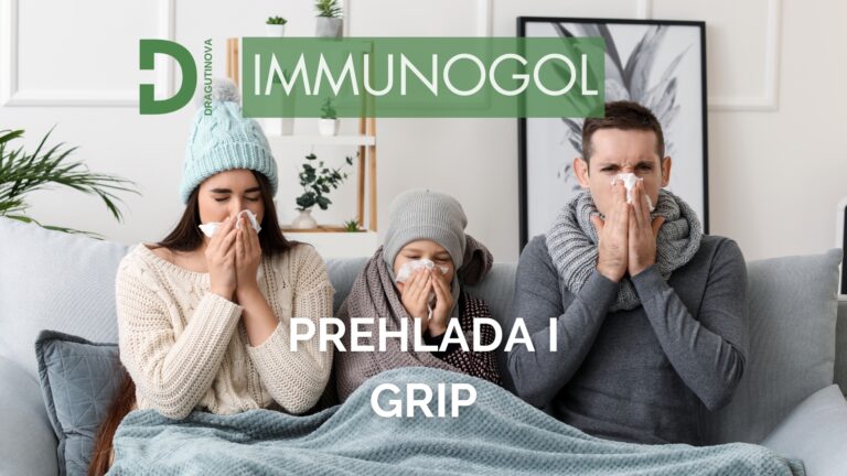 prehlada i grip, prehlada, grip, immunogol, beta glukan, prehlada i grip prirodni lekovi