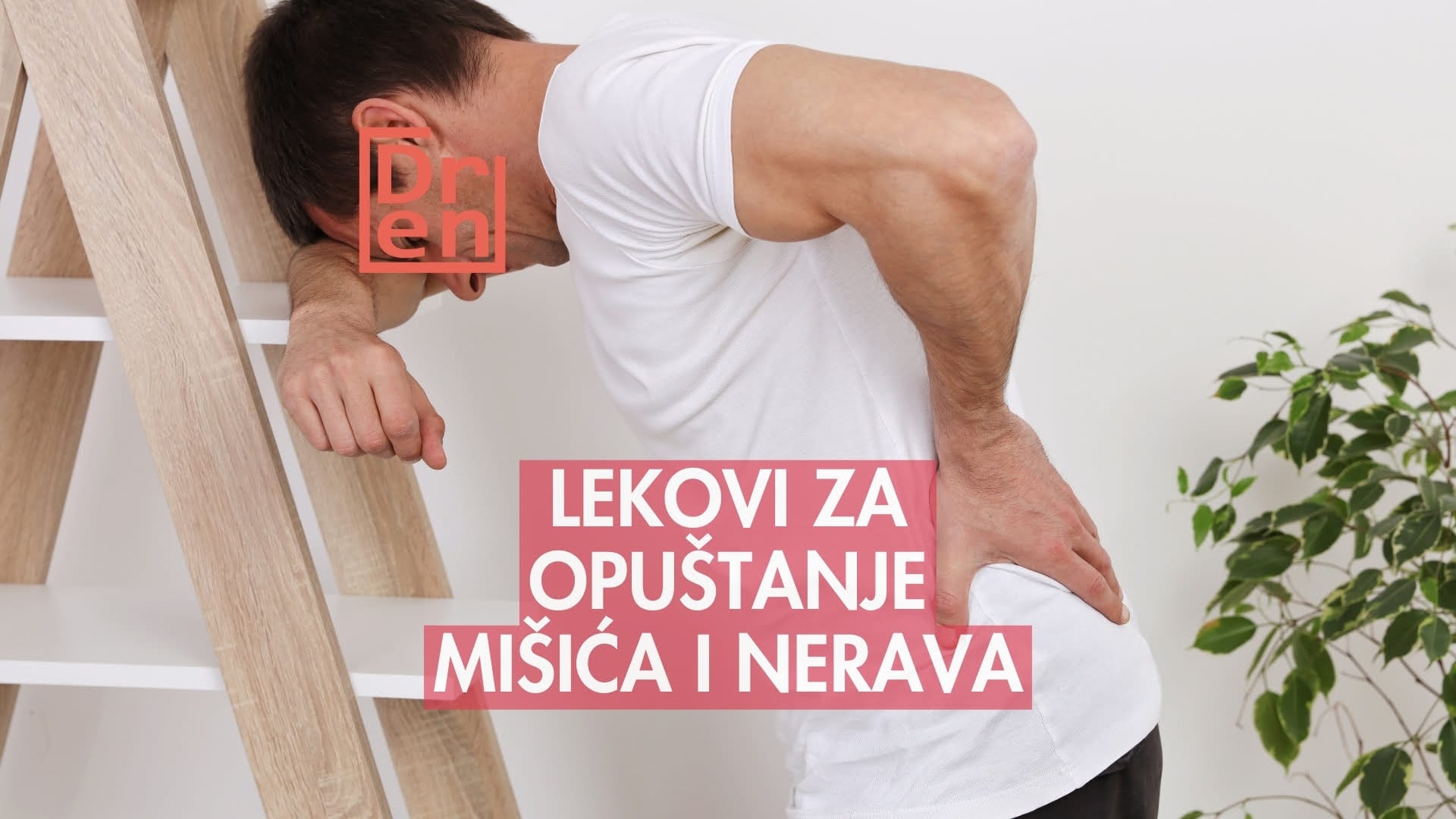 lekovi za opuštanje mišića i nerava 1 - Dragutinova lekovi za opuštanje mišića i nerava